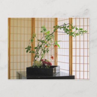 Cartão Postal zen flower arrangement