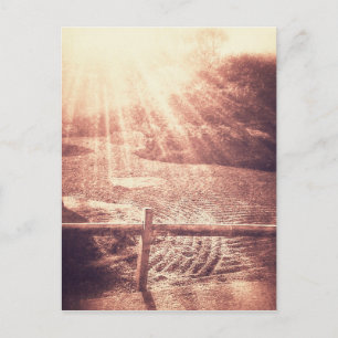 Cartão Postal Zen Garden