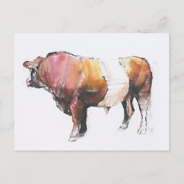 Cartão Postal Zeus (Frente)