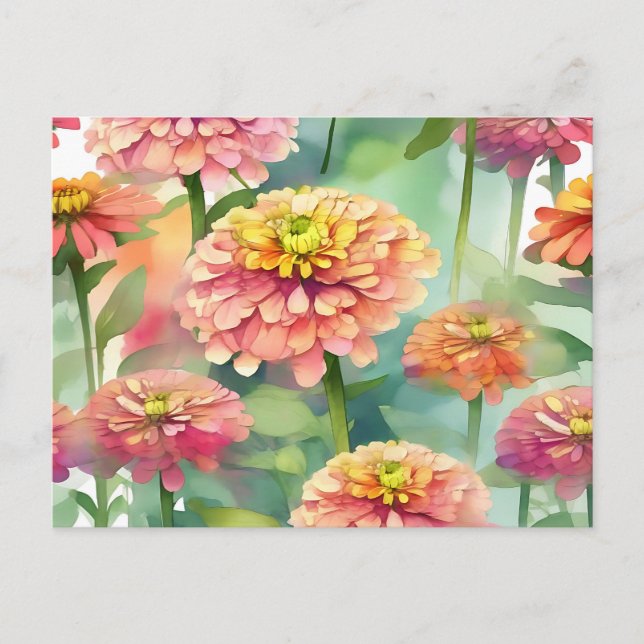 Cartão Postal Zinnia Floral de Molho (Frente)