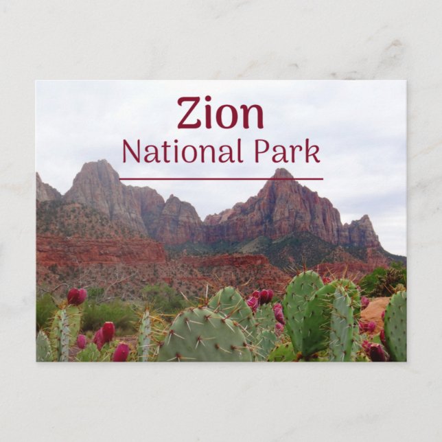 Cartão postal Zion National Park Bloom (Frente)