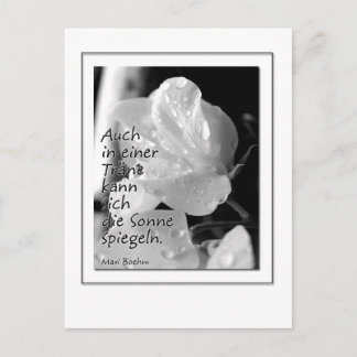 Cartão Postal Zitat-Traene