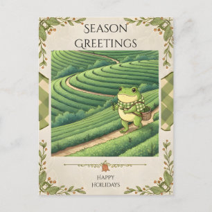 Cartão Postal Zochi nos Campos de Chá de Boseong