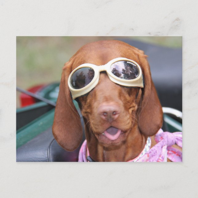 Cartão Postal Zoe Pronto para Andar (Frente)