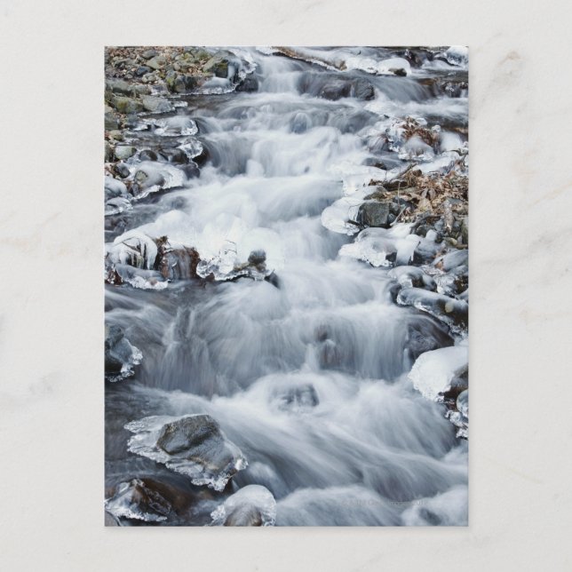 Cartão Postal Zona Cênnica Nacional da Garganta do Rio Columbia (Frente)