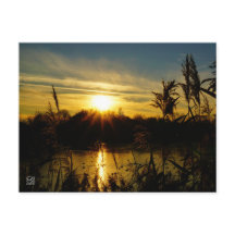 Zonsondergang bij een meertje met rietpluimen.