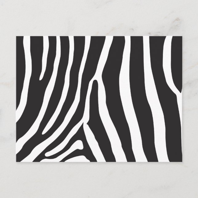 Cartão Postal Zoo (Frente)