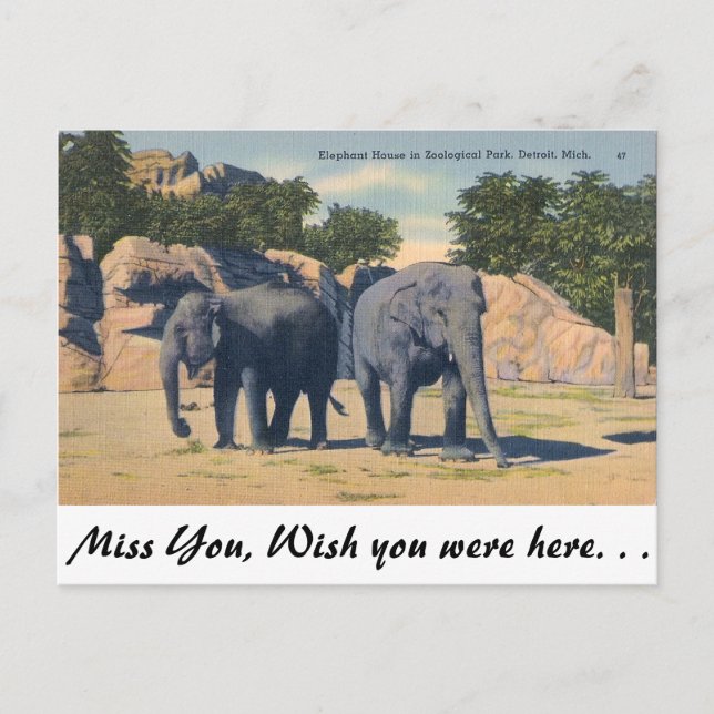 Cartão Postal Zoo, Detroit, Michigan (Frente)
