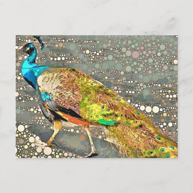 Cartão postal Zoo Peacock (Frente)