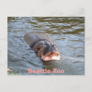 Cartão Postal Zoo Seattle
