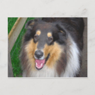 Cartão Postal zorro