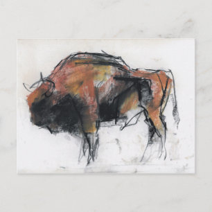 Cartão Postal Zubre Bialowieza
