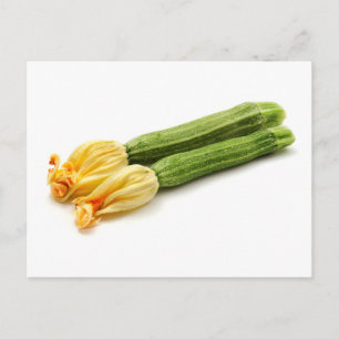 Cartão Postal Zucchini riscado
