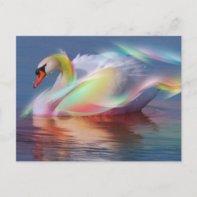 Cartão Postal zwaan (Frente)