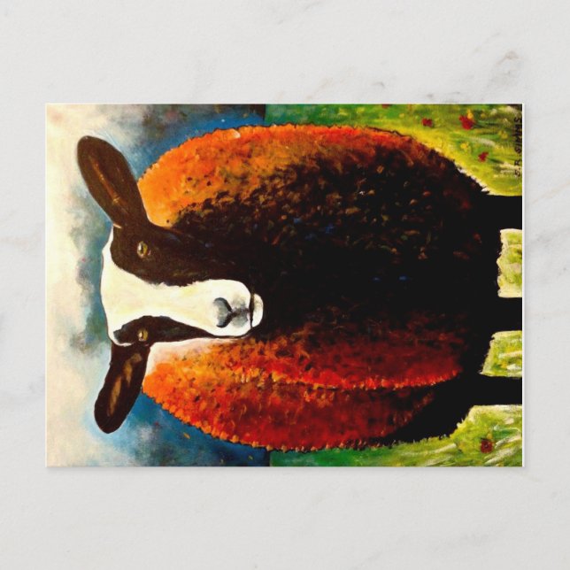 Cartão Postal Zwartbles (Frente)
