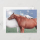 Cartão Postal zwei verliebte Pferde (Frente/Verso)