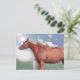 Cartão Postal zwei verliebte Pferde (Em pé/Frente)