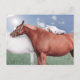Cartão Postal zwei verliebte Pferde (Frente)
