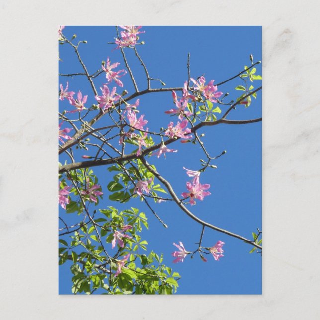 Cartão Postal Zweig mit Blumen (Frente)