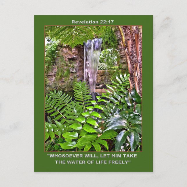 Cartão Poste de ÁGUA VIVA (Frente)