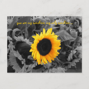 Cartão poste Sunshine