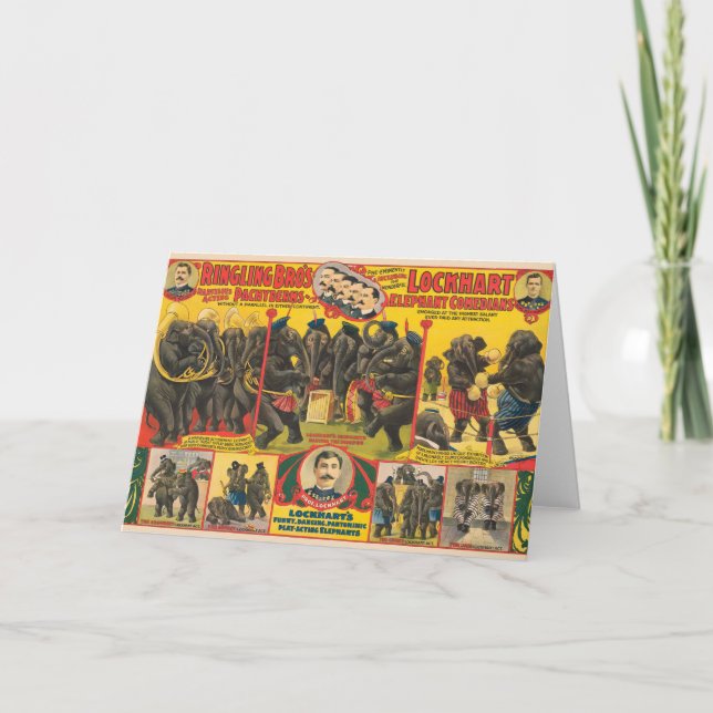 Cartão Poster de Circo de Elefantes (Frente)