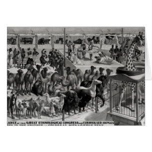 Cartão Poster publicando: 'Barnum e Bailey