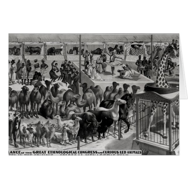 Cartão Poster publicando: 'Barnum e Bailey (Frente Horizontal)