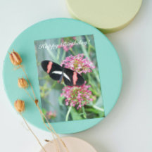 Postman Butterfly on Pink Flowers Birthday Card