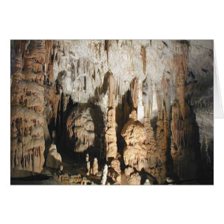 Cartão Postojna Caves