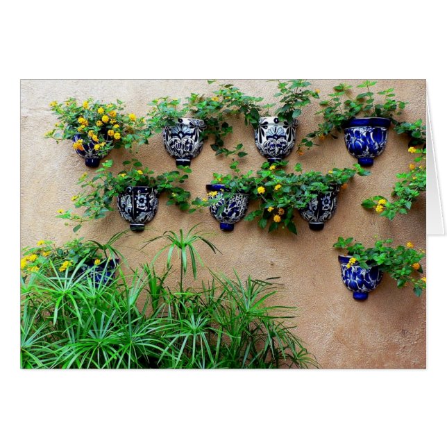 Cartão Potes do jardim (Frente Horizontal)