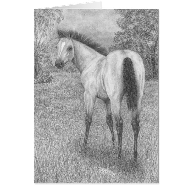 Cartão Potro do Buckskin (Frente)