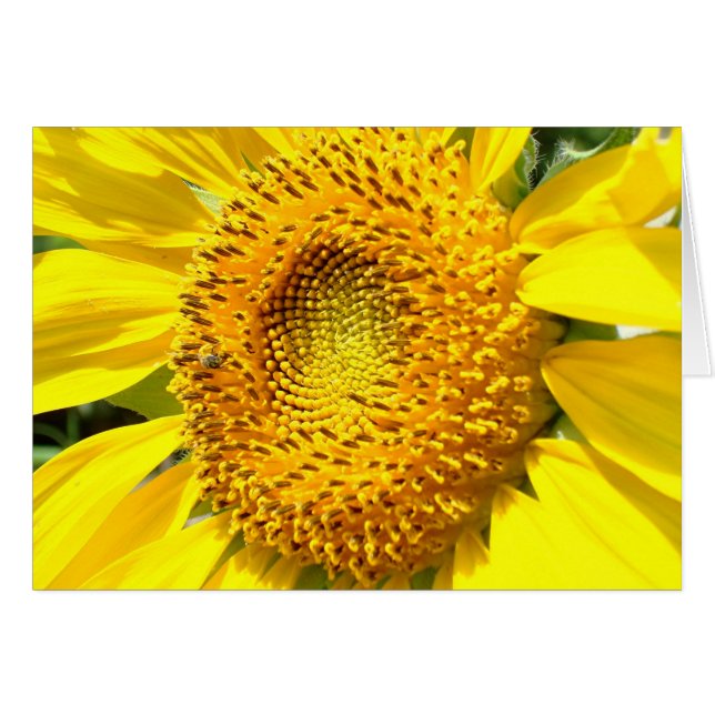 Cartão Pouca abelha do mel (Frente horizontal)