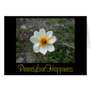 Cartão Pouca flor branca