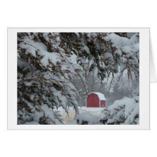 Cartão Pouco celeiro vermelho quadro pelos ramo nevado,