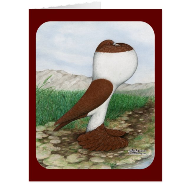 Cartão Pouter Pigeon Red Hana (Frente)