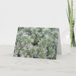 Cartão Powis Castle Artemisia