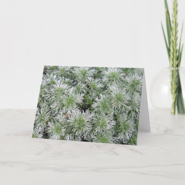 Cartão Powis Castle Artemisia (Frente)