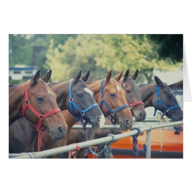 Cartão Poy String (Frente Horizontal)