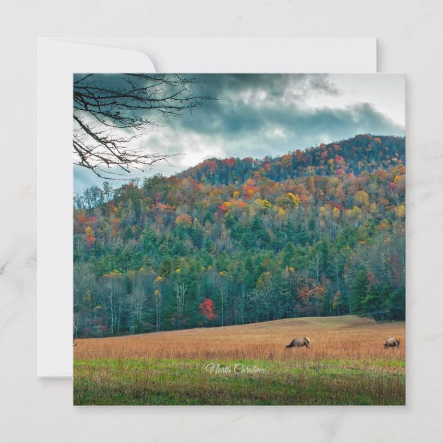 Cartão Prado cênico da Carolina do Norte (rotulado) (Frente)