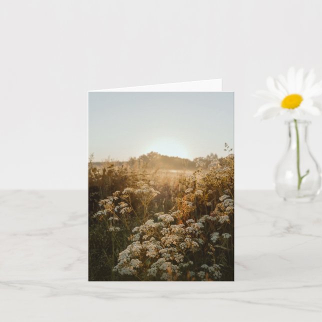 Cartão Prado sereno ao nascer do sol (Planta pequena)