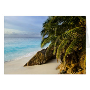 Cartão Praia Anse Victorin
