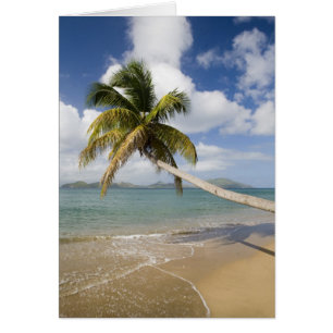 Cartão Praia Coconut Grove na Baía de Cades, com St.