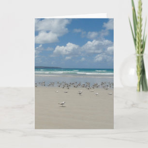 Cartão Praia com gaivotas