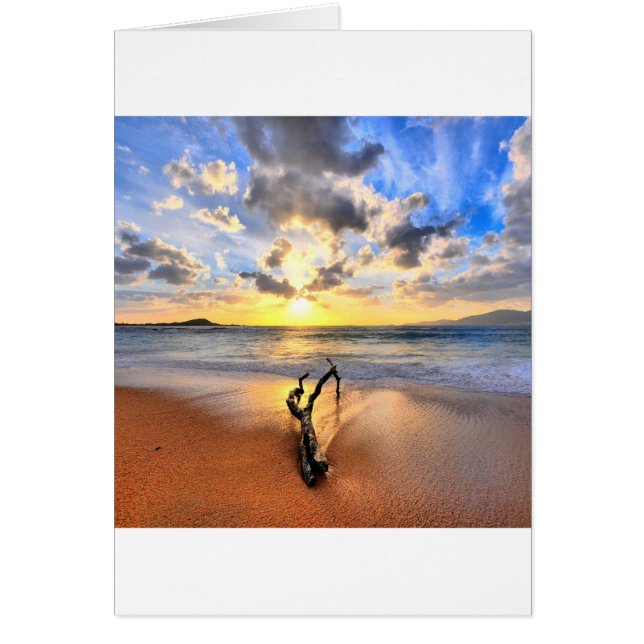 Cartão Praia da madeira lançada costa do nascer do sol (Frente)