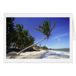 Cartão Praia de areia branca com Palmeiras, Mui Ne (Vietn