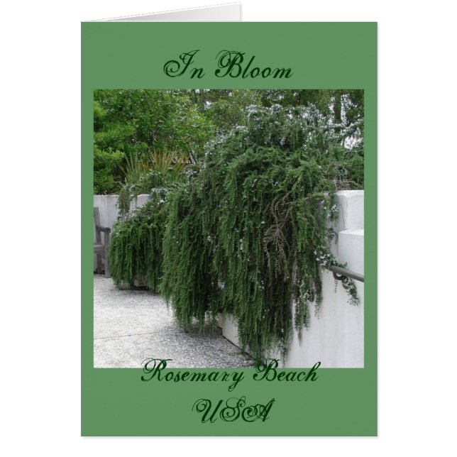 Cartão Praia de Rosemary, Rosemary (Frente)
