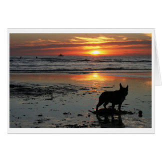 Cartão Praia do Cão