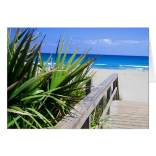 Cartão Praia Florida de Juno