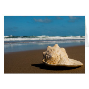 Cartão Praia futura